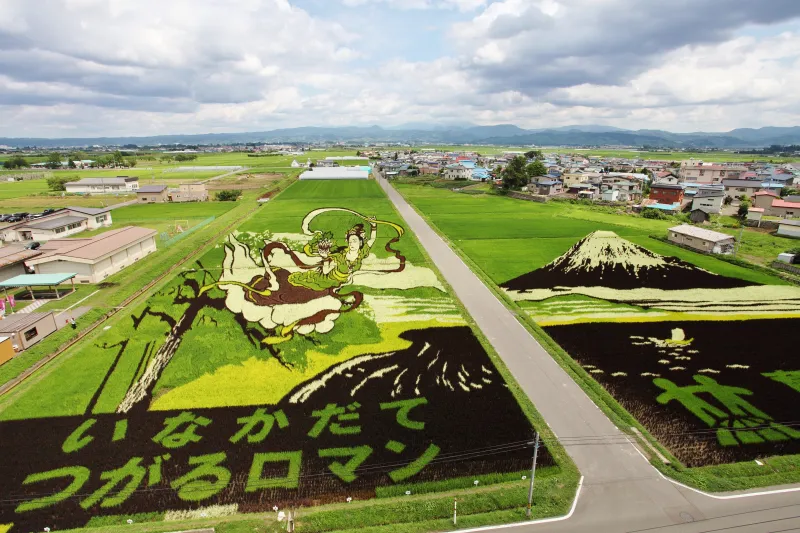 Ne manquez pas de dÃ©couvrir le tambo art, ces riziÃ¨res picturales rÃ©alisÃ©es par les habitants du village dâInakadate