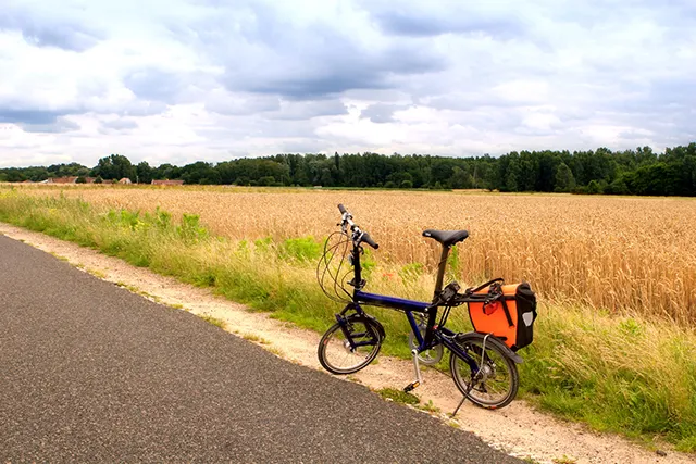 Sternstunden - Fotolia.com La Loire à vélo, un des parcours préférés des cyclistes du dimanche